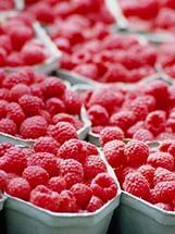 Рекомендации по сбору ягод малины